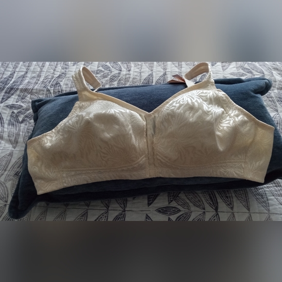 NWT Wingslove Bra - Picture 2 of 9